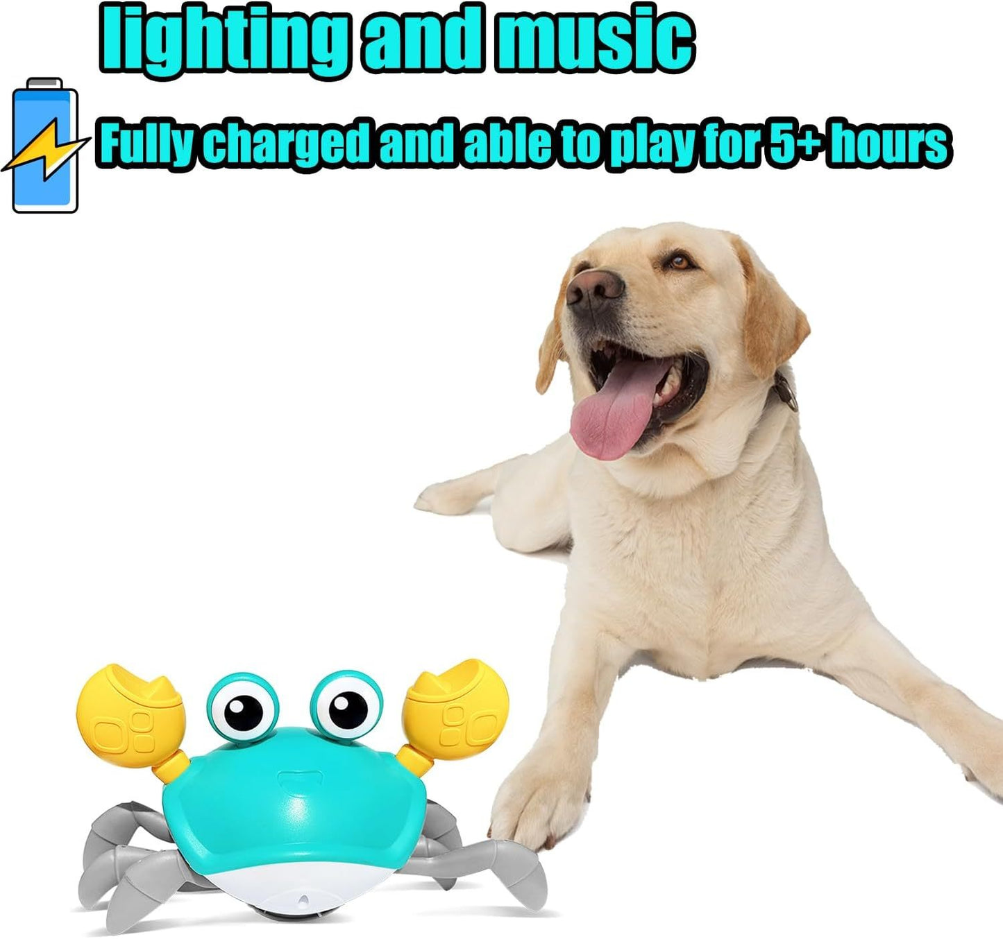 Crawling Crab Interactive Dog Toy – Obstacle Avoidance, Music & Lights | Fun Pet Toy for Dogs & Cats