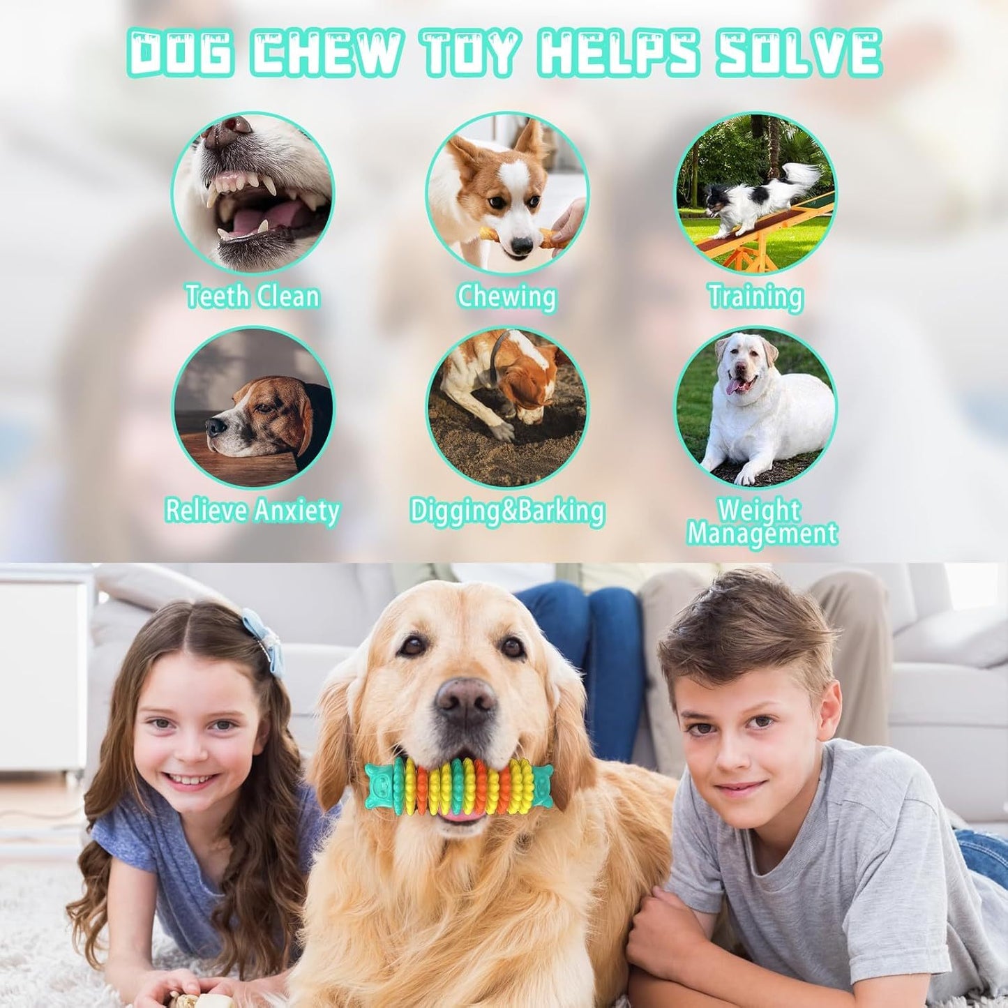 Durable Dog Chew Toys for Aggressive Chewers – Indestructible Rubber Teething Toys for All Breeds