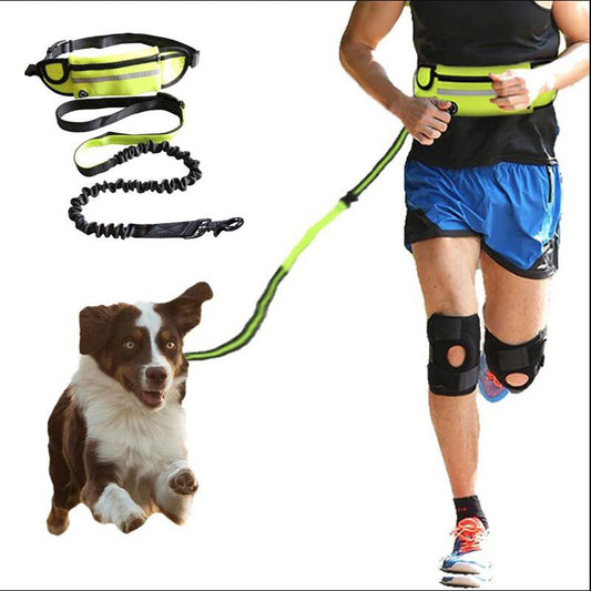 Hands-Free Dog Leash with Shock-Absorbing Bungee – Adjustable Waist Belt, Phone Pocket & Water Bottle Holder for Large Dogs (Up to 180lbs)